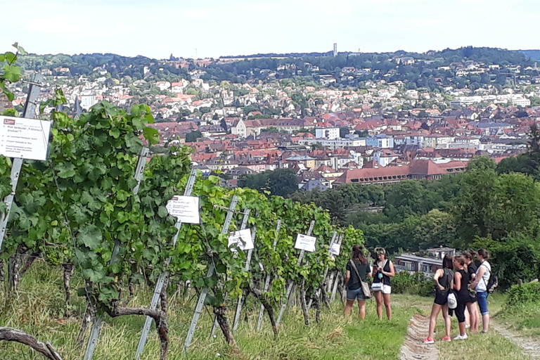 Wurtzbourg : rallye dans les vignobles avec dégustation de vins et dynamique de groupeWuerzburg : rallye dans les vignobles avec dégustation de vin et dynamique de groupe