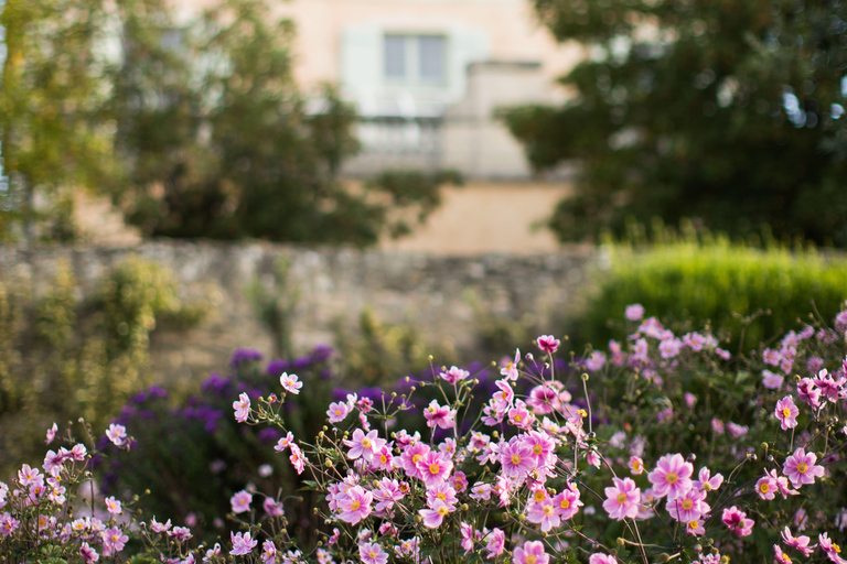 Pommard: Clos Marey Monge Signature Wine Tasting