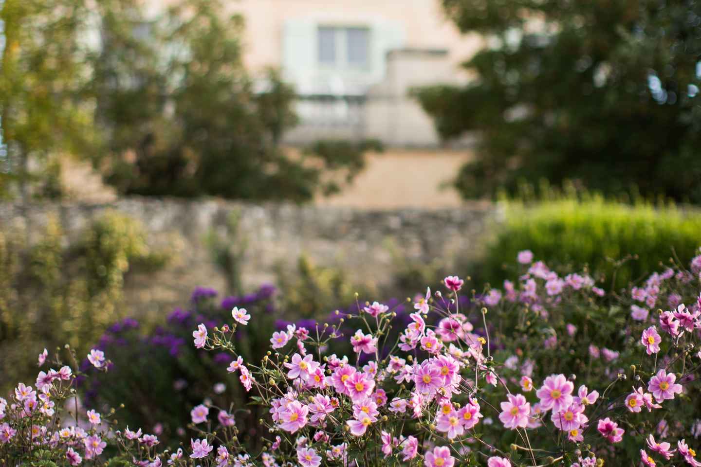 Pommard: Clos Marey Monge Signature Wine Tasting