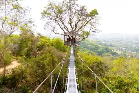 Phuket : Zipline : voler plus haut qu'un faucon avec option quad