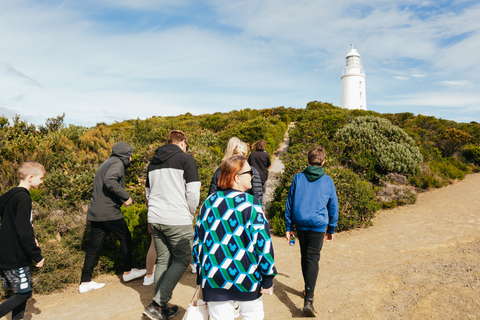 Hobart : Aventure sur l'île de Bruny avec déjeuner et visite du phare