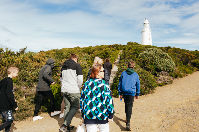 Hobart: Bruny Island Tour with Hotel Lunch &amp; Lighthouse TourHobart: Bruny Island Adventure with Lunch &amp; Lighthouse Tour