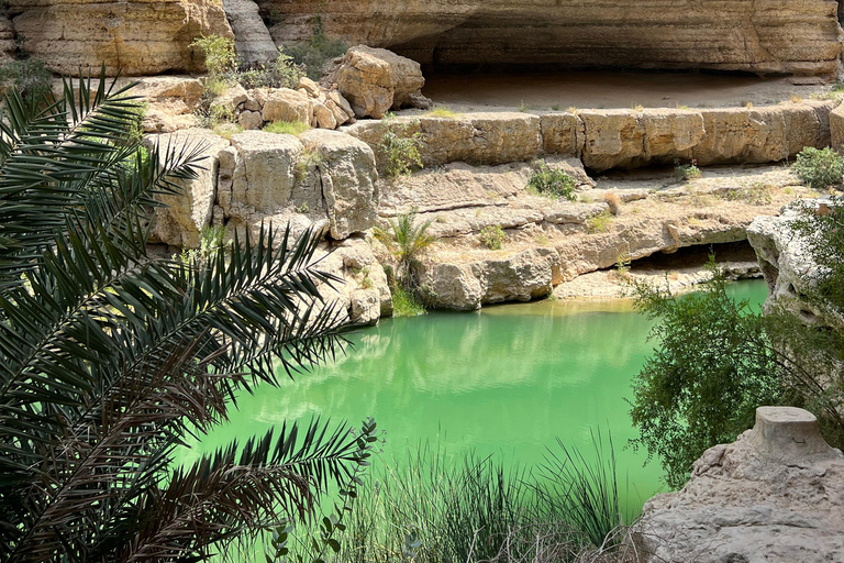 From Muscat: Private Bimmah Sinkhole and Wadi Shab Tour