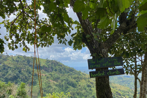 Arusha : Excursion d&#039;une journée dans le parc national d&#039;Arusha