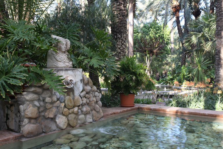 Depuis Alicante : visite du jardin botanique national