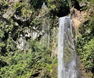 Liberia: Rainforest and Waterfalls Horseriding Tour