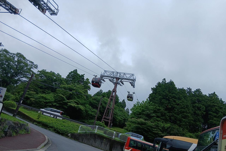 From Tokyo: Mt. Fuji Views Private Customize Itinerary Tour