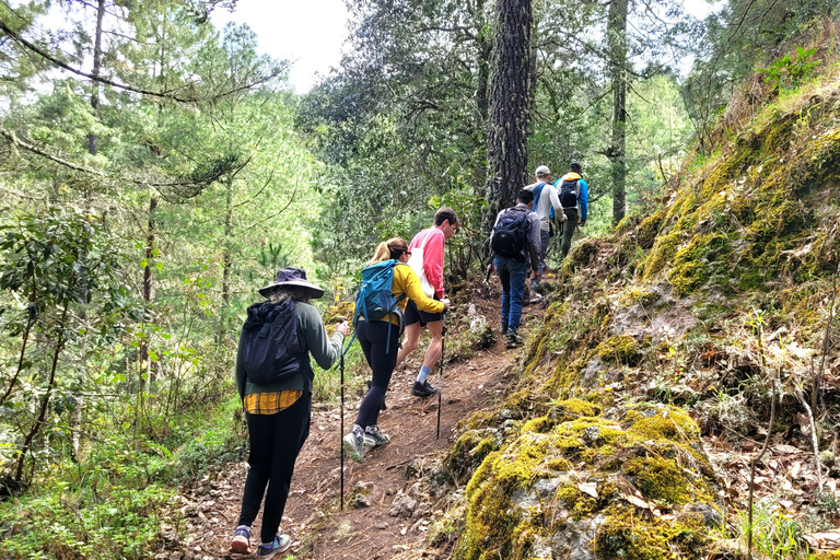 Oaxaca: Sierra Norte Ixtepeji Guided Hike & Lunch, Half-Day