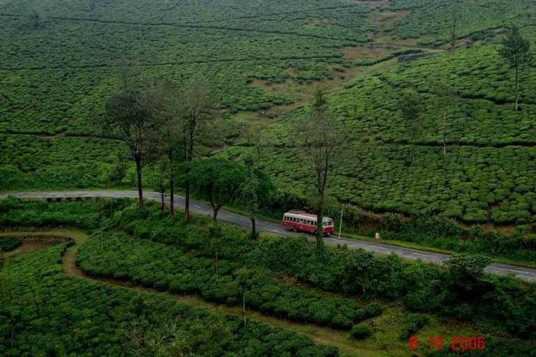 From Chennai: 12-Day Private Tour to Cochin with 3-Star Stay Chennai to Cochin 12 Days Private Tour with 3* Hotels