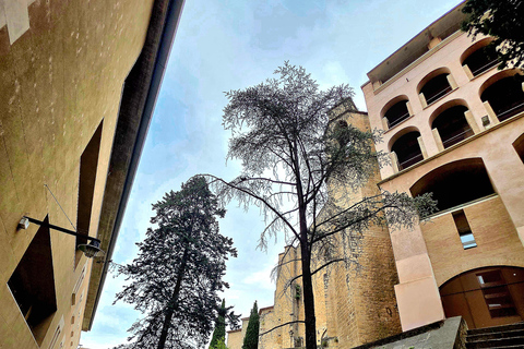Girona: Old Town Walking Tour with Local Guide Cathedral visit