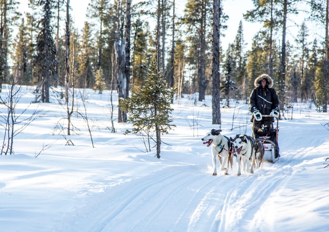 Kiruna: Drive Your Own Team Lunch Tour
