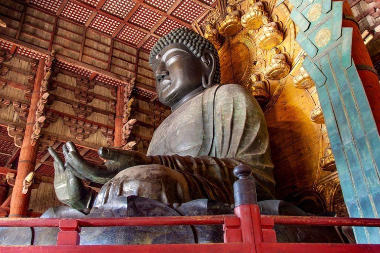 Kyoto/Osaka: Private Kyoto and Nara Tour with Tea Ceremony