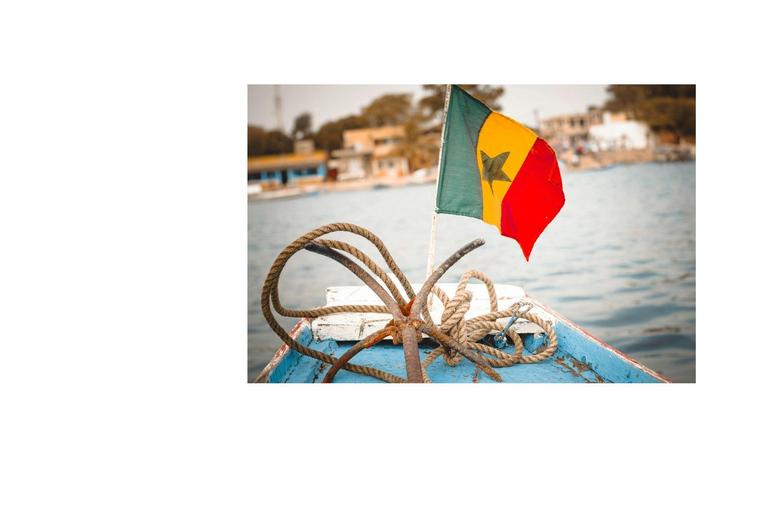 Dakar - Gorée Island: Guided visit of culture, history, and art with an artist