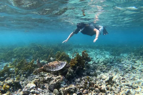 Praslin : Excursion en bateau d'une journée à Coco Felicite et La Digue