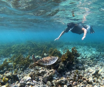 Praslin: Coco Felicite & La Digue Island Full-Day Boat Trip