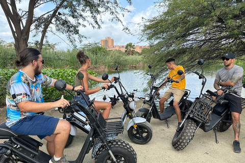 Aruba: Electric Scooter Tour with Beach Stops