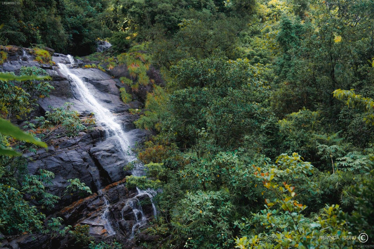 Knuckles Mountain Hike, Waterfalls & Village Tour Kandy