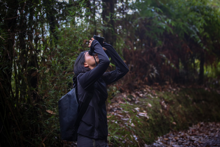 Birding Medellin z ekspertem obserwującym ptaki (prywatnie)