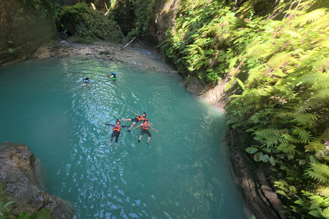 Cebu: Oslob valhajsskådning Canyoneering privat upphämtning