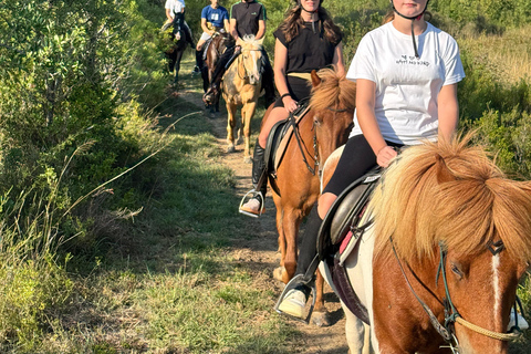Dubrovnik: Horse Riding with local guide - beginner friendly