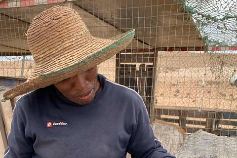 Boavista: Tradycyjna i lokalna wycieczka