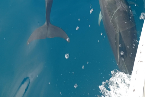 Quito: Galapagos Islands 4-Day Tour with Flights