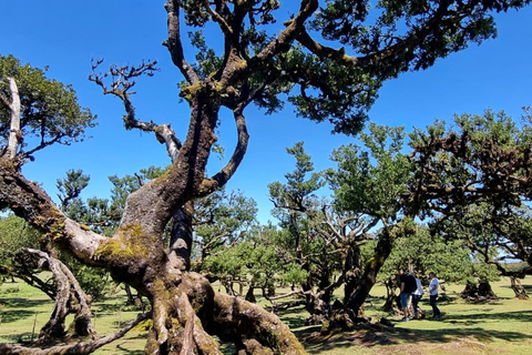 El surrealista oesteOeste surrealista