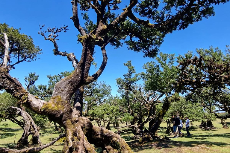 El surrealista oesteOeste surrealista