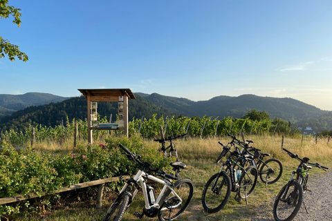 Baden-Baden: Private e-Mountainbike Tour with local Guide