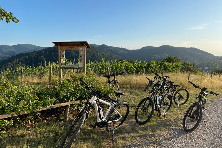 Baden-Baden: Private e-Mountainbike Tour with local Guide