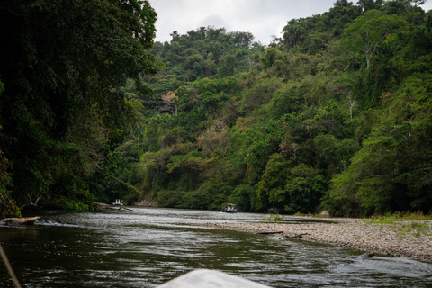 Santa Marta: Taironaka Indigenous Tour