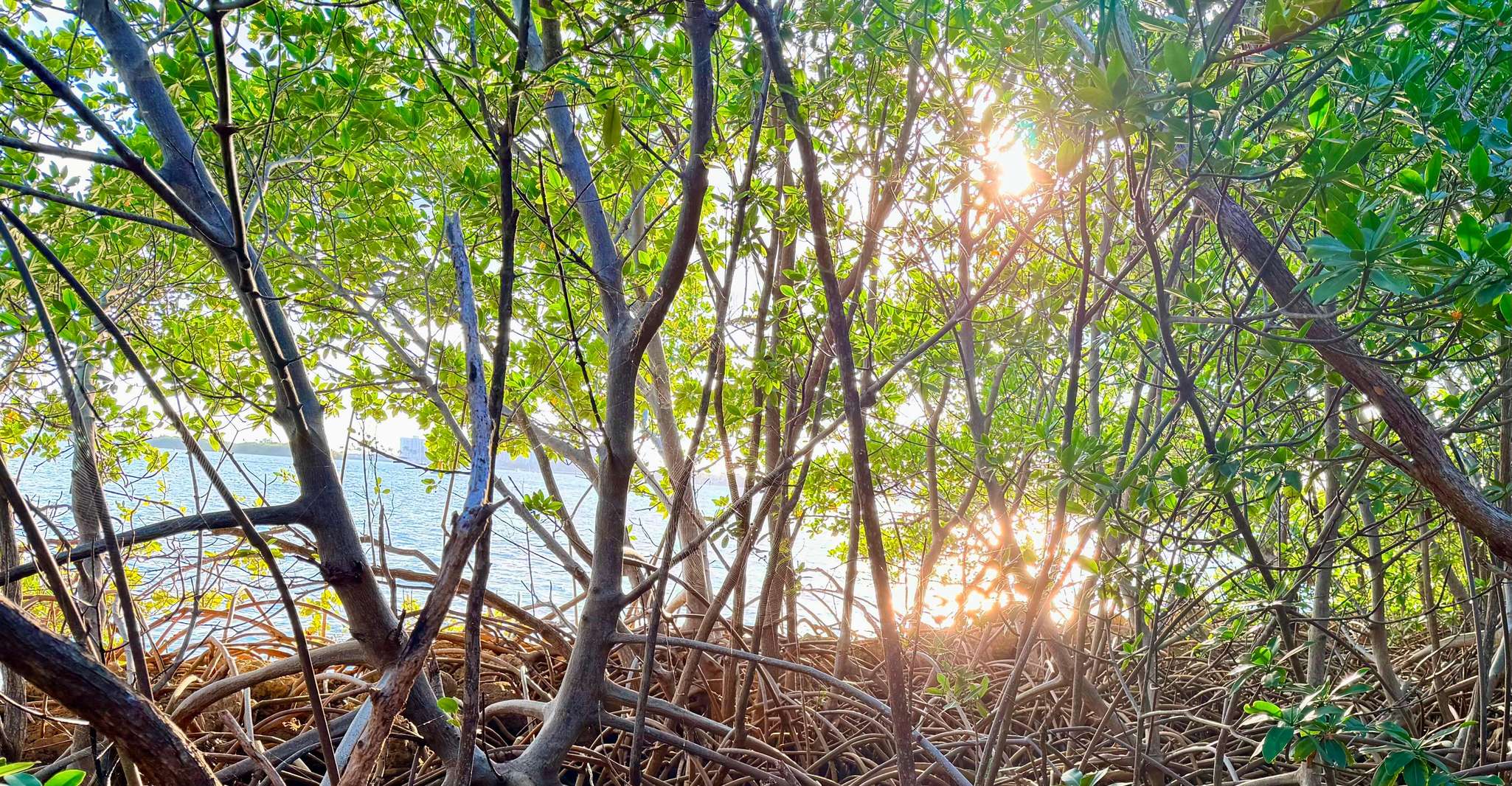 Raccoon Island Adventure: Wildlife, Island Walk & Floats photo 15