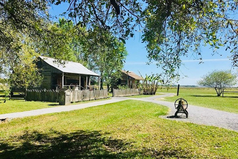 From New Orleans: Oak Alley or Laura Plantation Tour