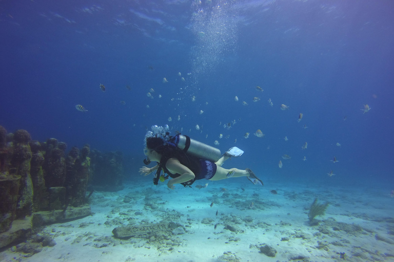 Cancun: 2-Tank Dive for Beginners with MUSA and Reef Dive