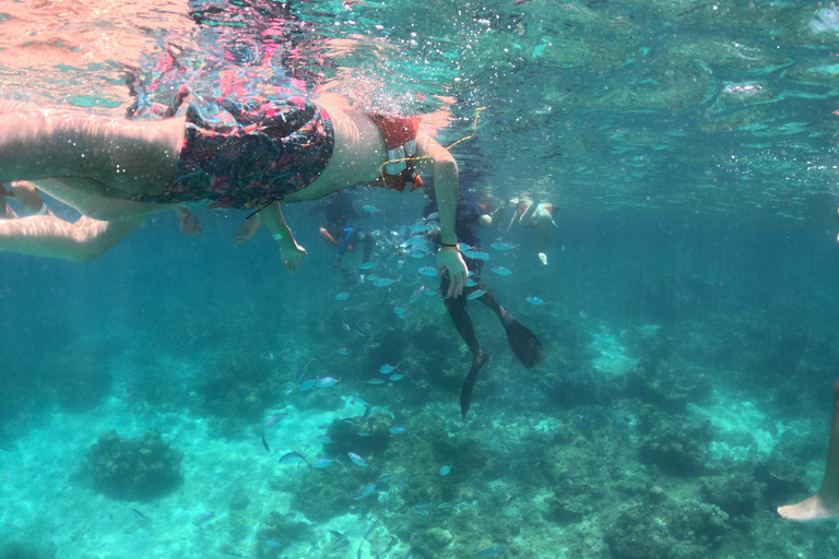 Wild Saona: Unspoiled Beaches and Natural Pools