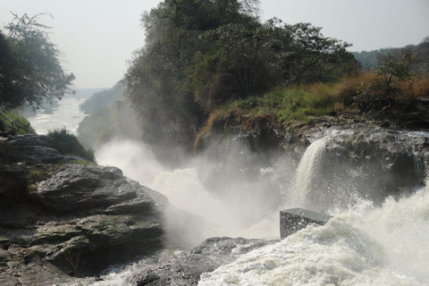 Oeganda Afrika : 3 Dagen Murchison Falls