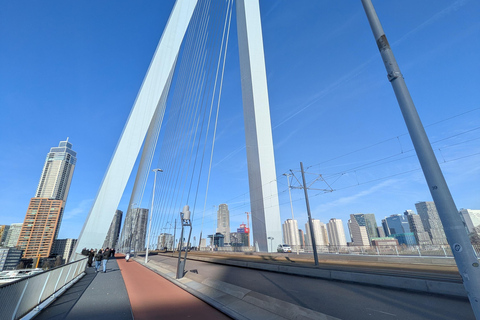 Rotterdam narrated by a French tour guide