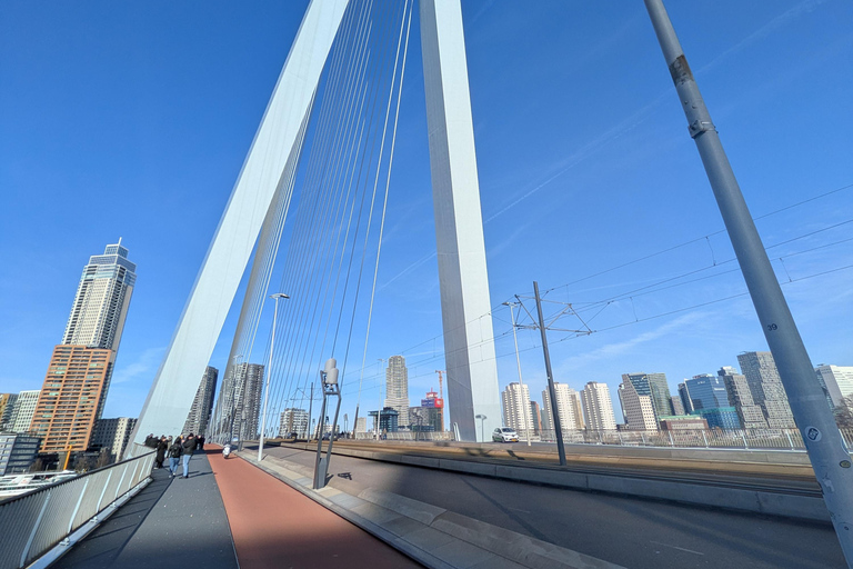 Rotterdam narrated by a French tour guide