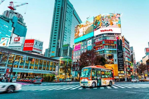 Tokio: Ganztägige private Tour mit englischsprachigem Fahrer