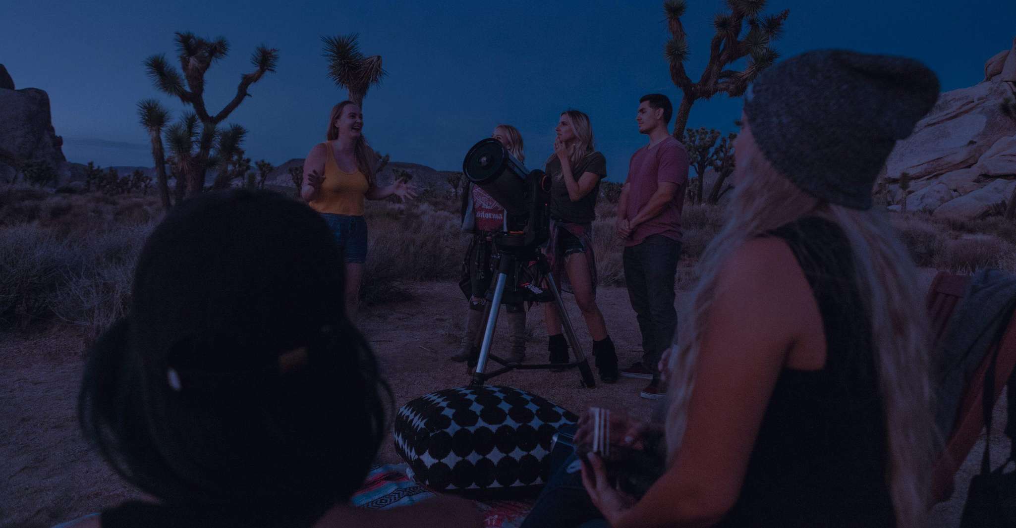 Joshua Tree NP, Sunrise or Sunset Tour - Housity