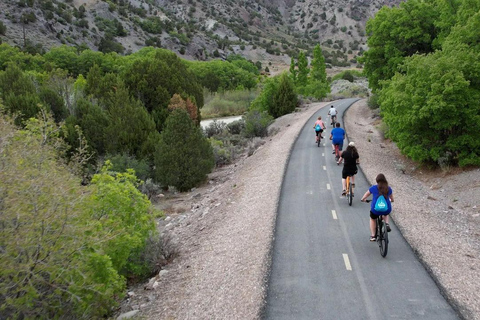 Utah: Candy Mountain Express Bike Trail Full Day Rental Mountain Bike - XS