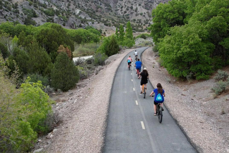 Utah: Candy Mountain Express Bike Trail Full Day Rental Mountain Bike - XS