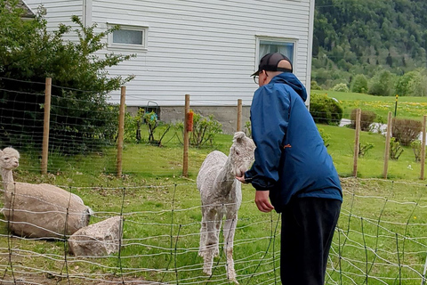 Vik i Sogn: Visita a una auténtica granja