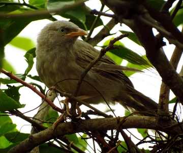 Phong Nha Nationaal Park - Paradijsgrot & Donkere Grot