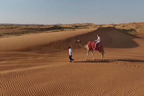 Dubai: Duin Buggy Safari en kamelenrit met vervoer2-zits met gedeelde vervoersservice