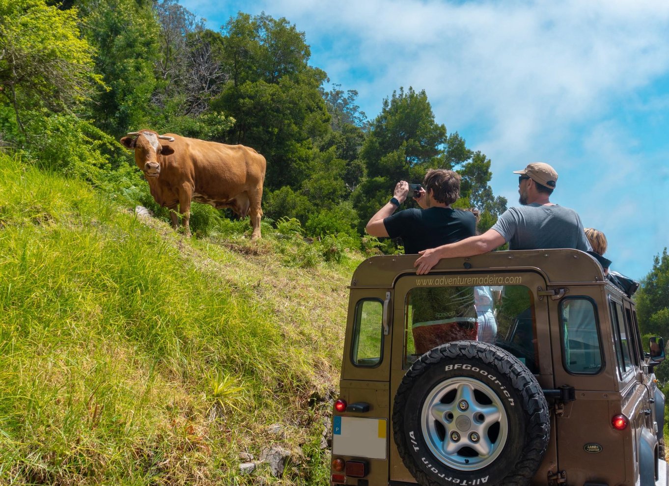 Madeira: Skywalk, Porto Moniz, Seixal og Fanal Jeep Tour