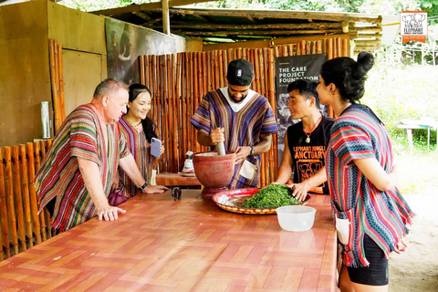 Chiang Mai Elephant Jungle Sanctuary &Mama Noi Cooking Class Sanctuary + Cooking Class in Air-Conditioned Room