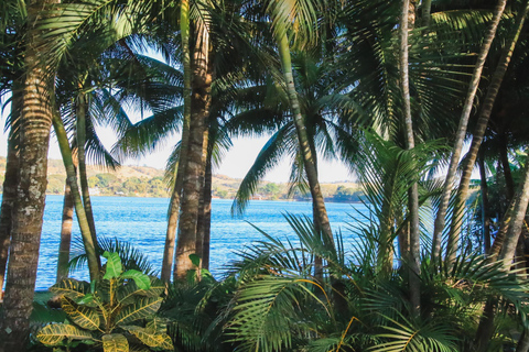 Guided tour of San Vicente, Historic Center, and Apastepeque Lagoon Guided Tour of San Vicente Village, Historic Center, and Apastepeque Lagoon