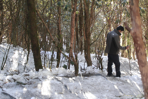 De Katmandu: Caminhada de 5 dias em Poon Hill e Ghandruk