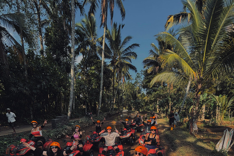 Ubud: Gorilla Face-quad, jungleschommel, waterval en maaltijdTandemrit met Bali Transfers